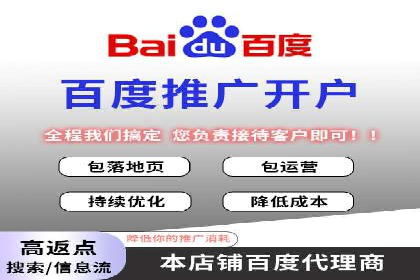 百度竞价运营策略：成功案例解析